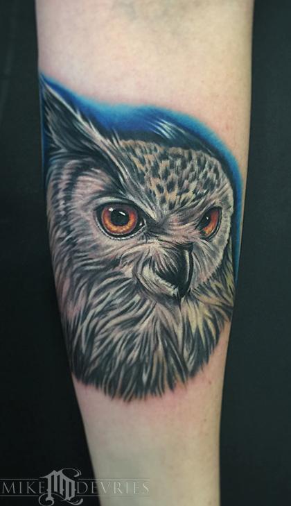 Mike DeVries - Eurasian Eagle-Owl 